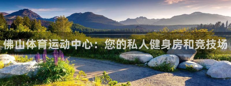 三亿体育：佛山体育运动中心：您的私人健身房和竞技场