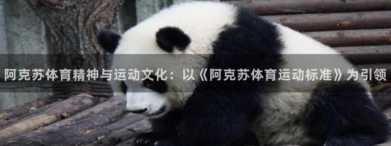 三亿体育登录：阿克苏体育精神与运动文化：以《阿克苏体育运动标准》为引领