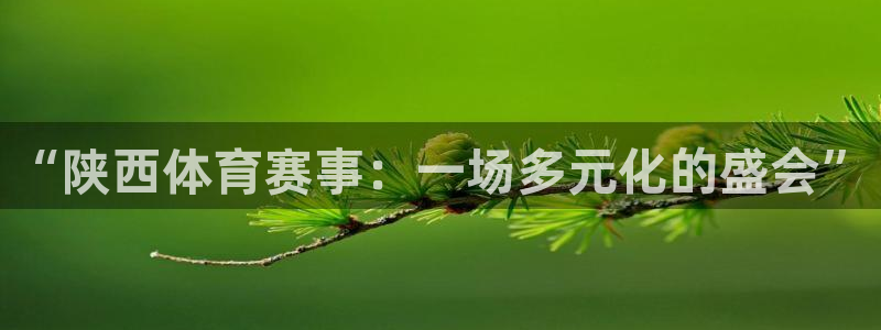 三亿体育网：“陕西体育赛事：一场多元化的盛会”