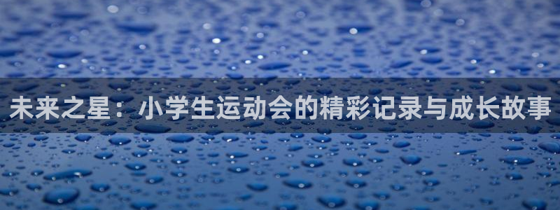 三亿体育：未来之星：小学生运动会的精彩记录与成长故事