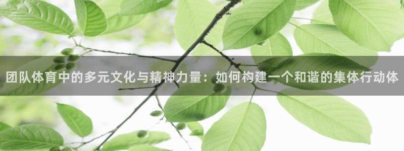 三亿体育登录：团队体育中的多元文化与精神力量：如何构建一个和谐的集体行动体
