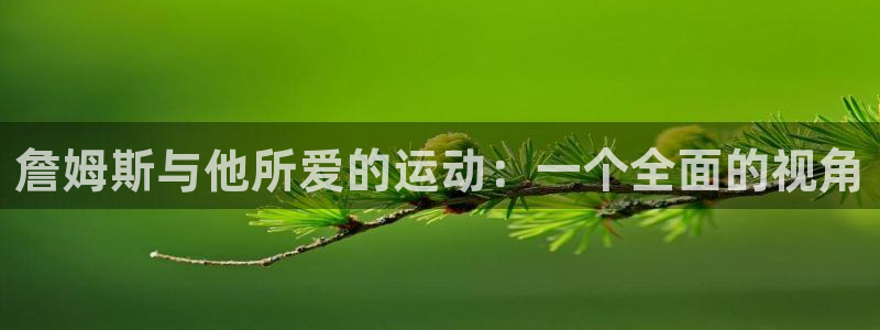 三亿体育网页版：詹姆斯与他所爱的运动：一个全面的视角