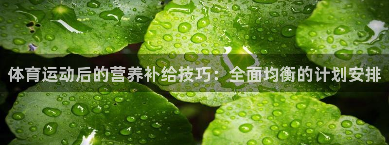 三亿体育：体育运动后的营养补给技巧：全面均衡的计划安排