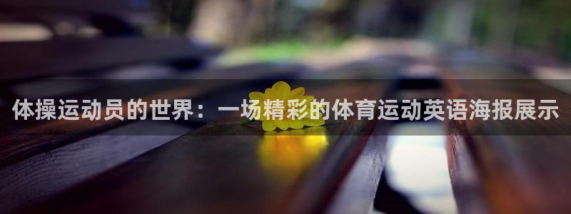 三亿体育：体操运动员的世界：一场精彩的体育运动英语海报展示
