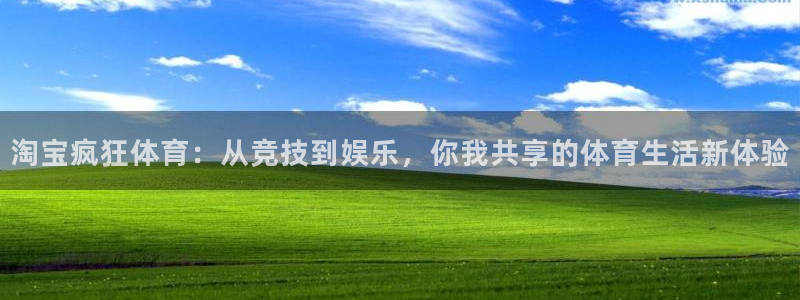 三亿体育网页版：淘宝疯狂体育：从竞技到娱乐，你我共享的体育生活新体验