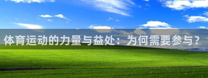 三亿体育网：体育运动的力量与益处：为何需要参与？