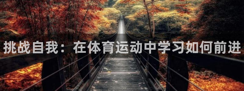 三亿体育网：挑战自我：在体育运动中学习如何前进