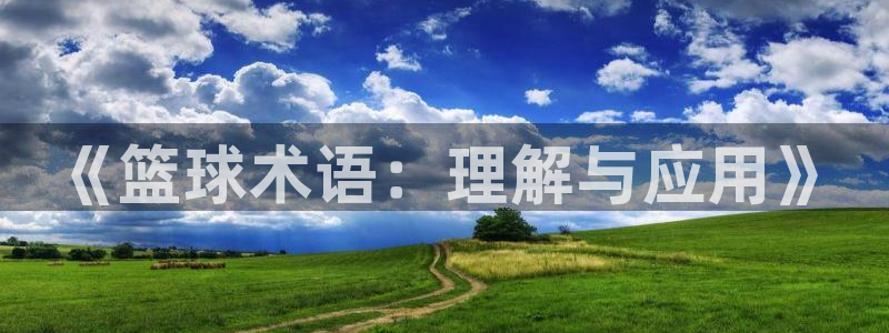 三亿体育网：《篮球术语：理解与应用》