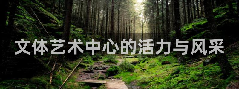 三亿体育网页版：文体艺术中心的活力与风采