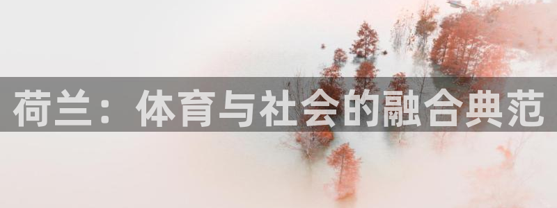 三亿体育网：荷兰：体育与社会的融合典范